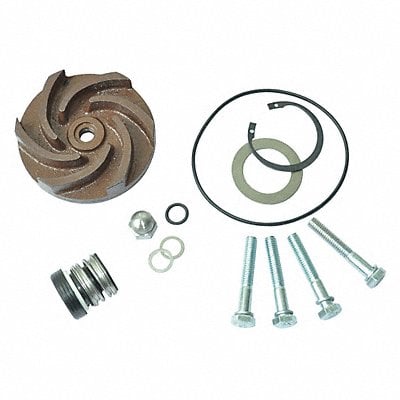 Pump Repair Kit For 2ZWX4A MPN:21TG76