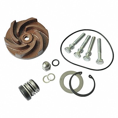 Pump Repair Kit For 2ZWX5A MPN:21TG77