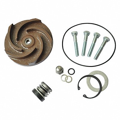 Pump Repair Kit For 2ZWX7A MPN:21TG79