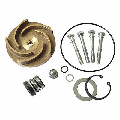 Pump Repair Kit For 2ZWY1A MPN:21TG82