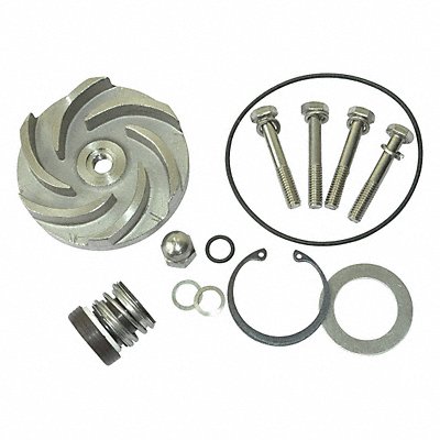 Pump Repair Kit For 2ZWY8A MPN:21TG89