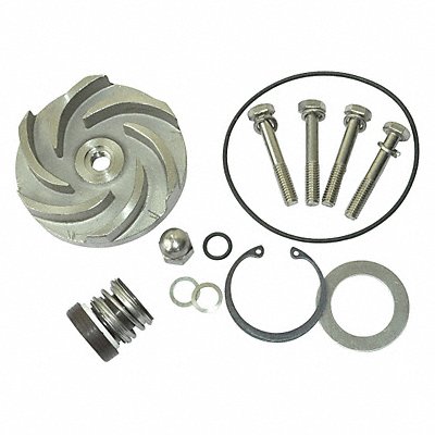 Pump Repair Kit For 2ZWY9A MPN:21TG90