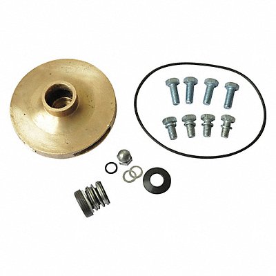 Pump Repair Kit For 2ZXL9 2ZXN1 MPN:21TH34