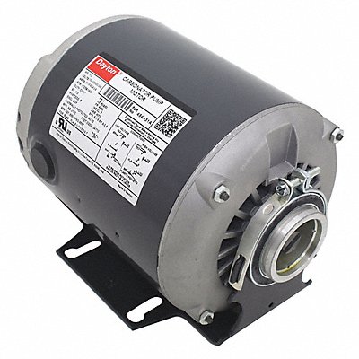 Rotary Gear Pump 1/3 HP 120/240V MPN:349GL0