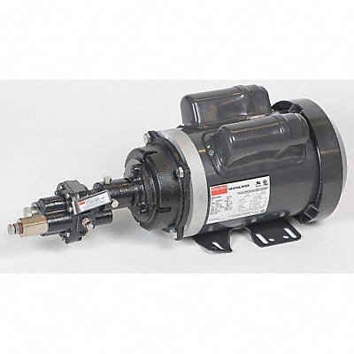 Rotary Pump 1Phase 125psi Cst Iron 1HP MPN:41TK05