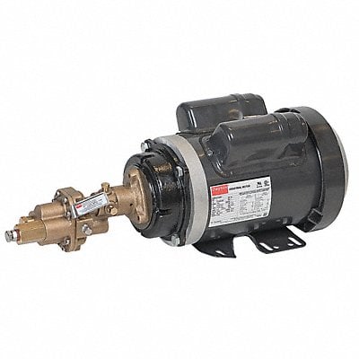 Rotary Pump 1Phase 125psi Bronze 1HP MPN:41TK06