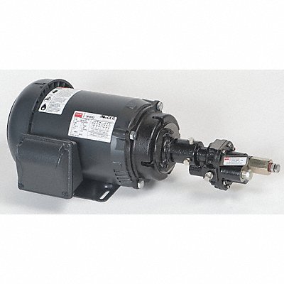 Rotary Pump 3Phase 125psi Cst Iron 1HP MPN:41TK13