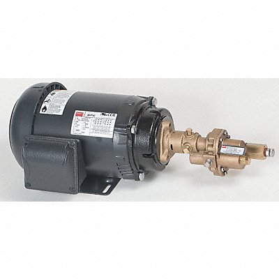 Rotary Pump Close 125psi Bronze 1HP MPN:41TK14