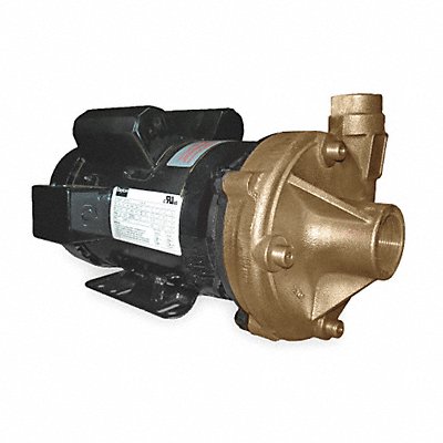 Pump 3 HP 1 Ph 240VAC MPN:2ZXA7