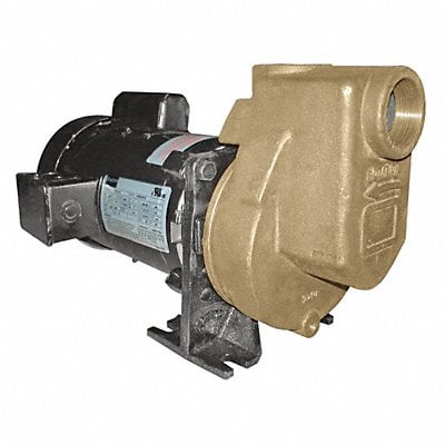 Self Priming Pump 3/4 HP Bronze MPN:2ZXP9