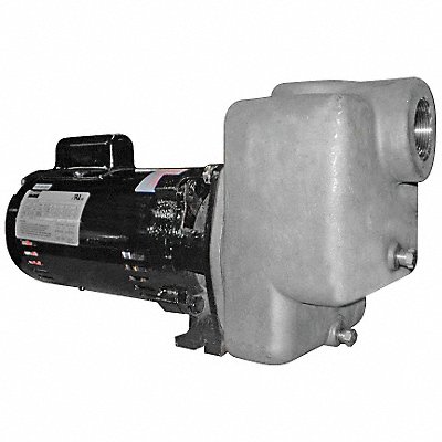 Self Priming Pump 1 HP 316 SS MPN:5GUP2