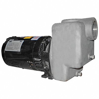 Self Priming Pump 2 HP 316 SS MPN:5GUP4