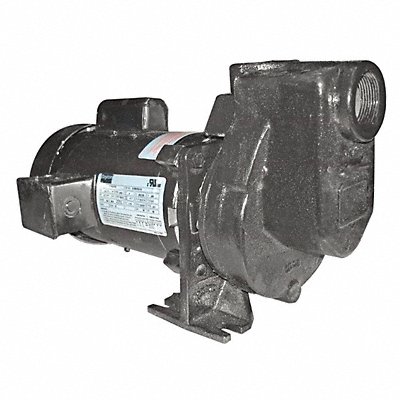 Self Priming Pump 1/3 HP Cast Iron MPN:5WXU4