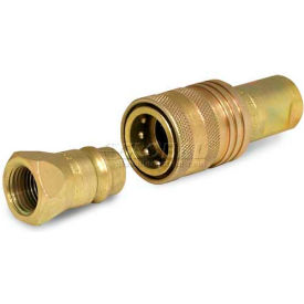 Apache Hydraulic Quick Coupler 39041400 1/2