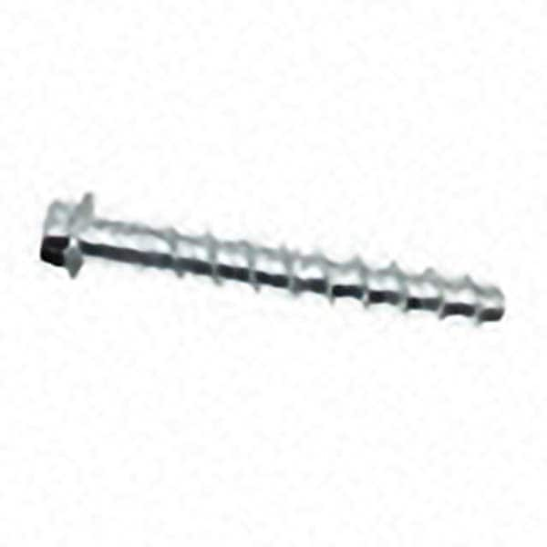 Concrete & Masonry Fastener: 1/4