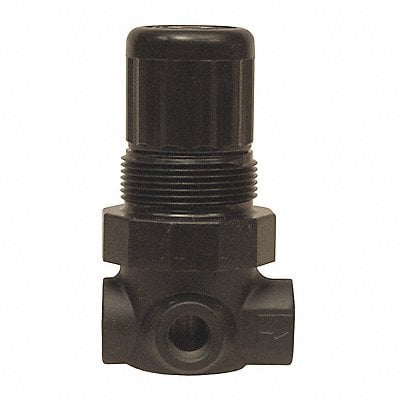 Series 1-Miniature Regulator 1/4 MPN:R07-200R