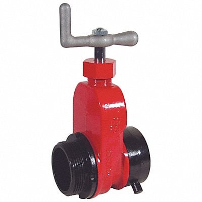 Gate Valve Single 2-1/2 In NST MPN:AHGV250F-I