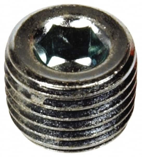 Hex Countersunk Head Pipe Plug MPN:090-026