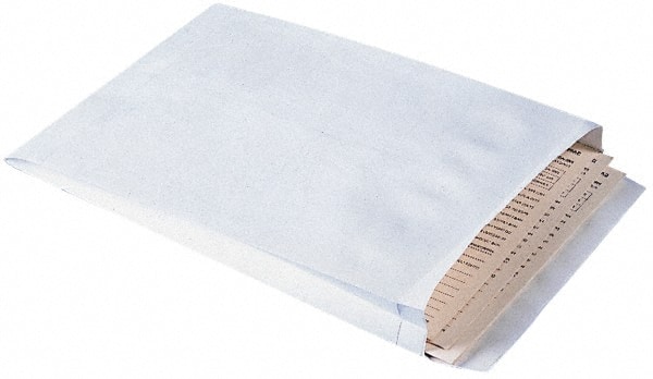 Tyvek Flat Catalog Mailing Envelope: 9