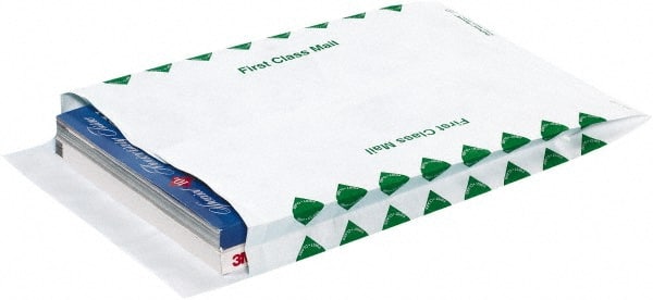 Tyvek Expansion Mailing Envelope: 10