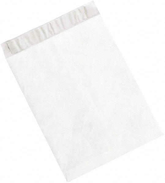 Tyvek Flat Catalog Mailing Envelope: 10