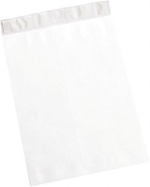 Tyvek Flat Catalog Mailing Envelope: 15