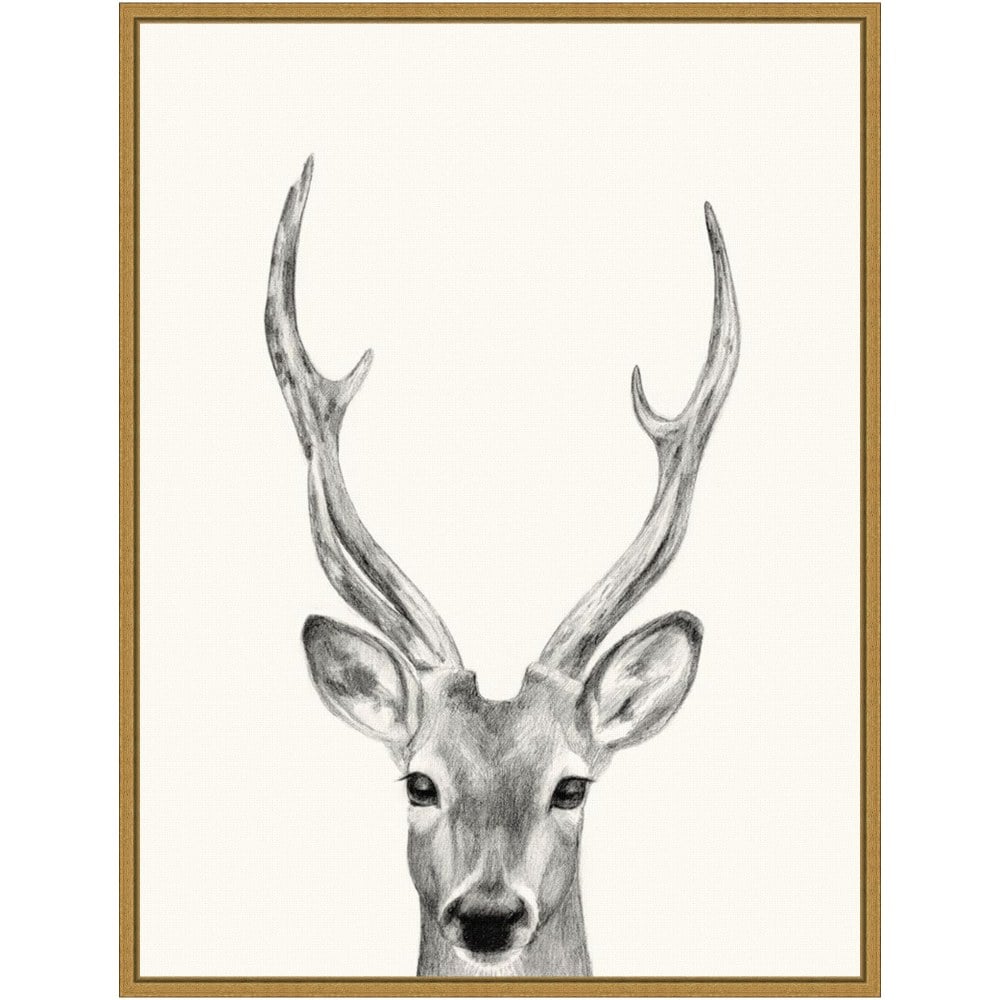 Amanti Art Animal Mug IV Deer by Victoria Borges Framed Canvas Wall Art Print, 24inH x 18inW, Gold MPN:A42705040723