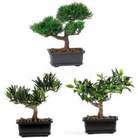 Nearly Natural 8.5'' Bonsai Silk Plant Collection (Set of 3) 4122