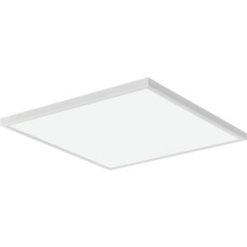 Lithonia Lighting® CPANL LED Flat Panel 24