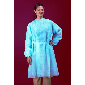 Polypropylene Isolation Gown Rear Entry W/ XLong Ties Blue One Size 50/Case ISO-NW-BLUE