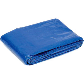 GoVets™ 4' x 6' Light Duty 2.9 oz. Tarp Blue 547298