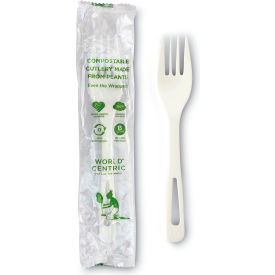 Eco-Products® Compostable Fork TPLA White Pack of 750 FO-PS-I