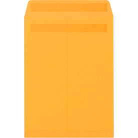 GoVets™ Redi-Seal Envelopes 10