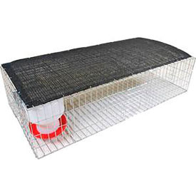 Bird Barrier® Pigeon Collapsible Trap Steel Silver TT-SW05