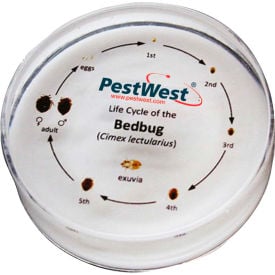 PestWest CSI Kit Replacement Parts - Bed Bug Specimen Life Cycle ID 340-000081
