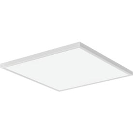 Lithonia Lighting® CPANL LED Flat Panel 12