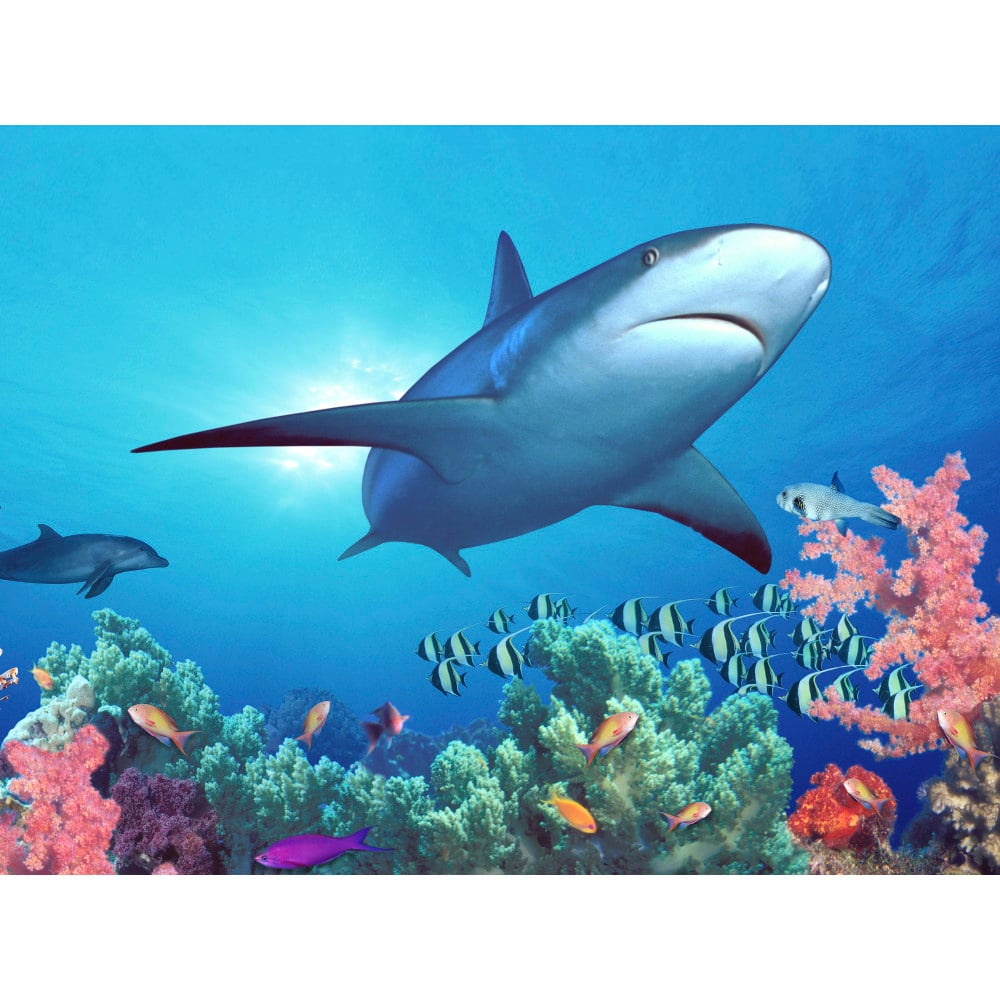 Biggies Landscape/Seascape Mural, 48in x 36in, Unframed, Shark Reef MPN:BG-WM-SRF-48