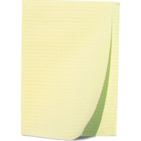 Dukal Patient Bibs 2-Ply Tissue/ 1-Ply Poly 13