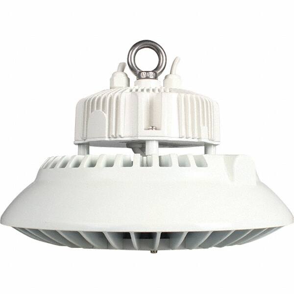 1 Lamp, 100 Watts, LED, High Bay Fixture MPN:09588
