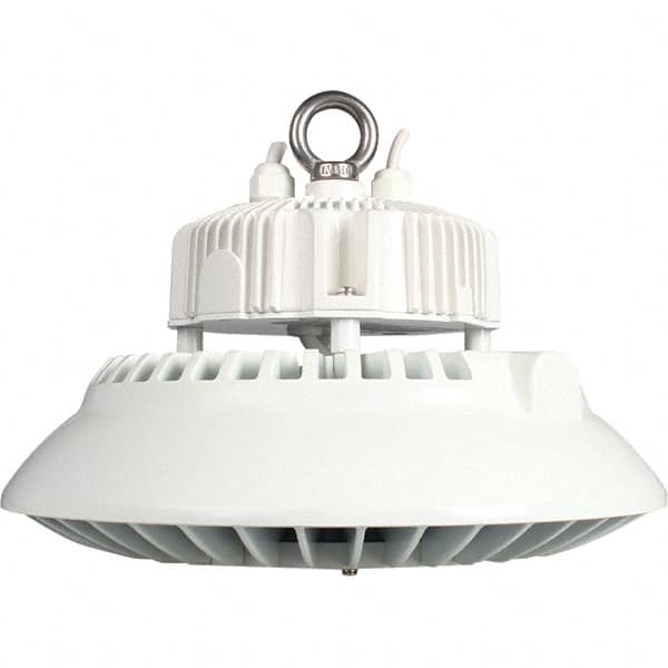 1 Lamp, 100 Watts, LED, High Bay Fixture MPN:09796
