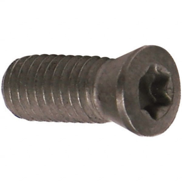 Insert Screw for Indexables: T20, Torx Drive, M5 x 11 Thread MPN:GZ349014