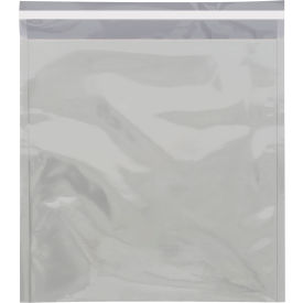 GoVets™ Peel & Seal Metallic Glamour Mailers 10-3/4