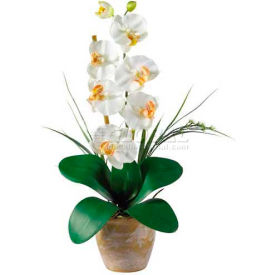 Nearly Natural Phalaenopsis Silk Orchid Flower Arrangement Cream 1016-CR