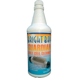 Guardian Salt Cell Cleaner 32 oz. Bottle 1/Case - P3032 P3032