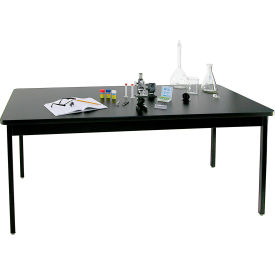 Allied Plastics Science Table - Chemical Resistant Top - Steel Frame 24x48 802448BABBV