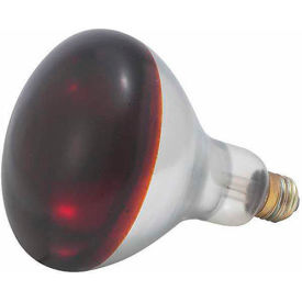 Winco EHL-BR - Red Bulb for Heat Lamp EHL-2 250W - Pkg Qty 6 EHL-BR