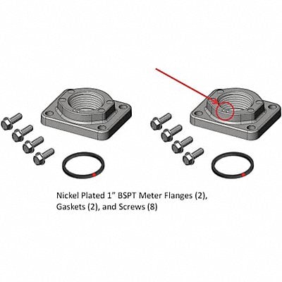 Meter/Flange Kit 1 In BSPT Nickel MPN:KIT900PF1B