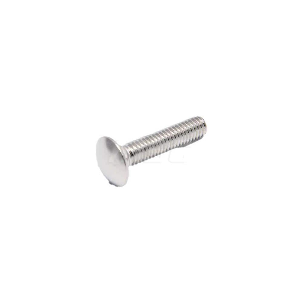 Carriage Bolt: 1/4-20, 1