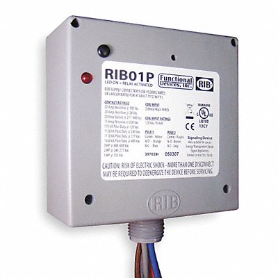 Prewired Relay 120VAC 20A DPDT MPN:RIB01P