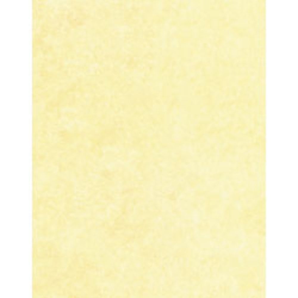 Gartner Studios Design Paper, 8 1/2in x 11in, 60 Lb, Ivory Parchment, Pack Of 100 Sheets (Min Order Qty 8) MPN:78488